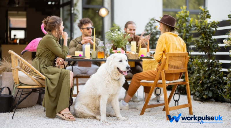 dog friendly restaurants near me